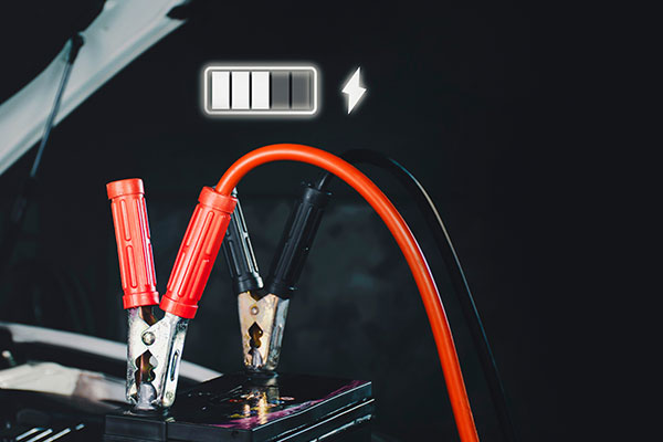 Vehicle battery