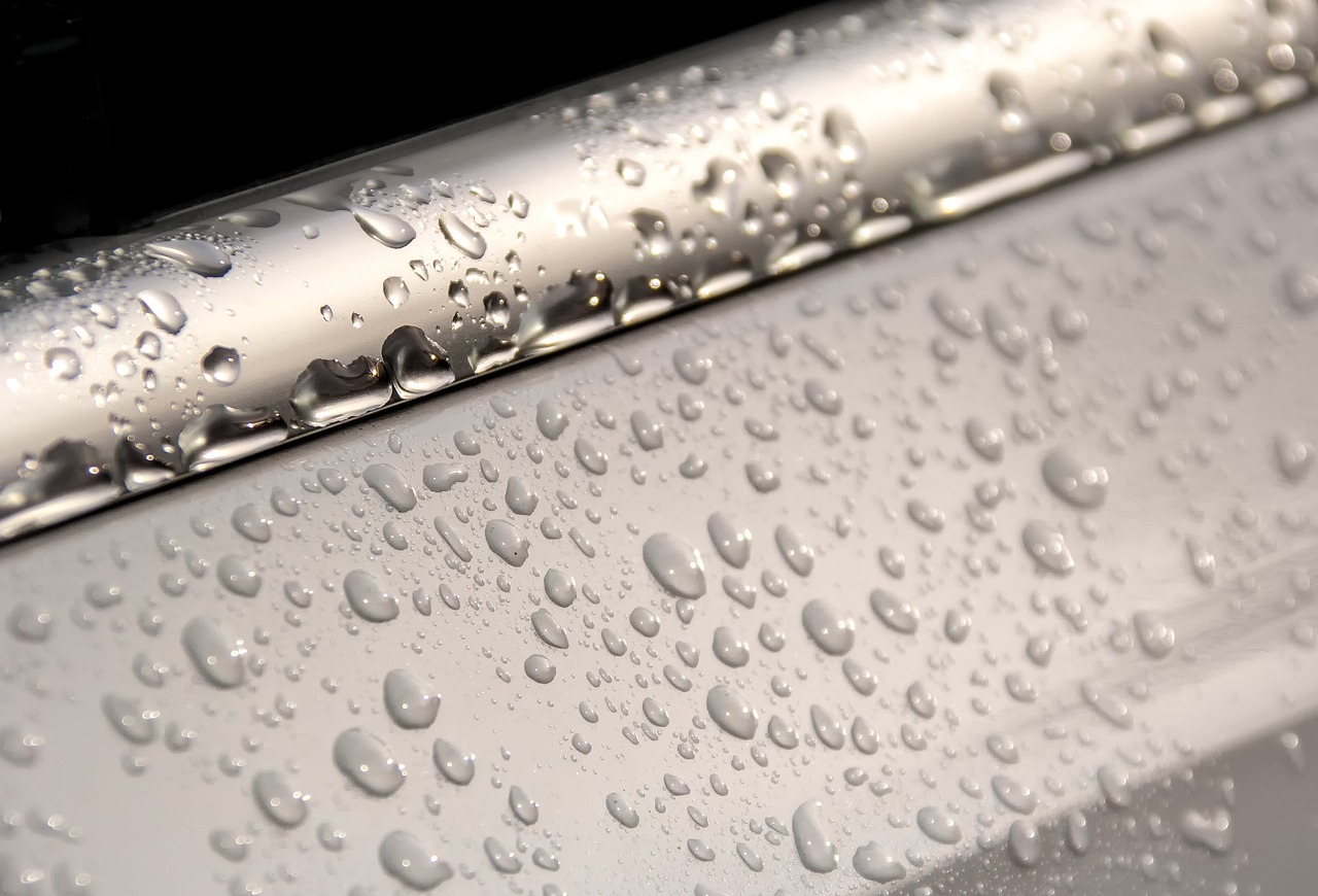 Brake noise after rain
